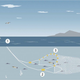 Trawl fishing method.